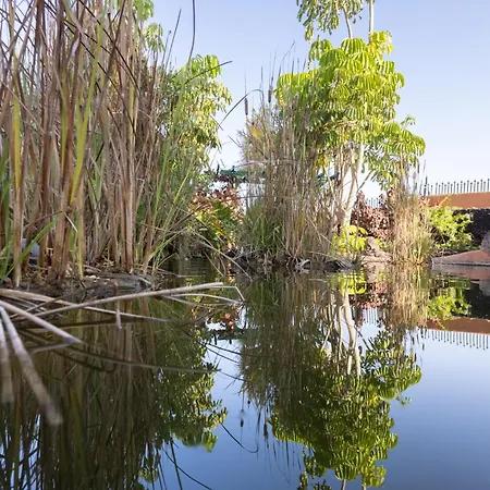 Home2book Cozy Costa Del Silencio, Pool Arona (Tenerife)