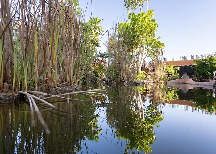 Home2book Cozy Costa Del Silencio, Pool Arona (Tenerife)