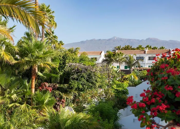 Home2book Cozy Costa Del Silencio, Pool * Arona (Tenerife)